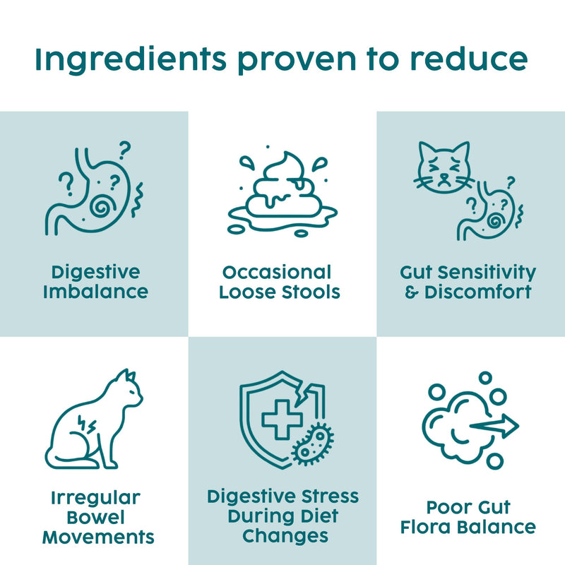 Cat Probiotic Powder 100g – Digestive Care & Gut Health Support for Cats & Kittens, Probiotics for Cats with L-Glutamine & Herbs, Daily Cat Digestive Support | Catnip