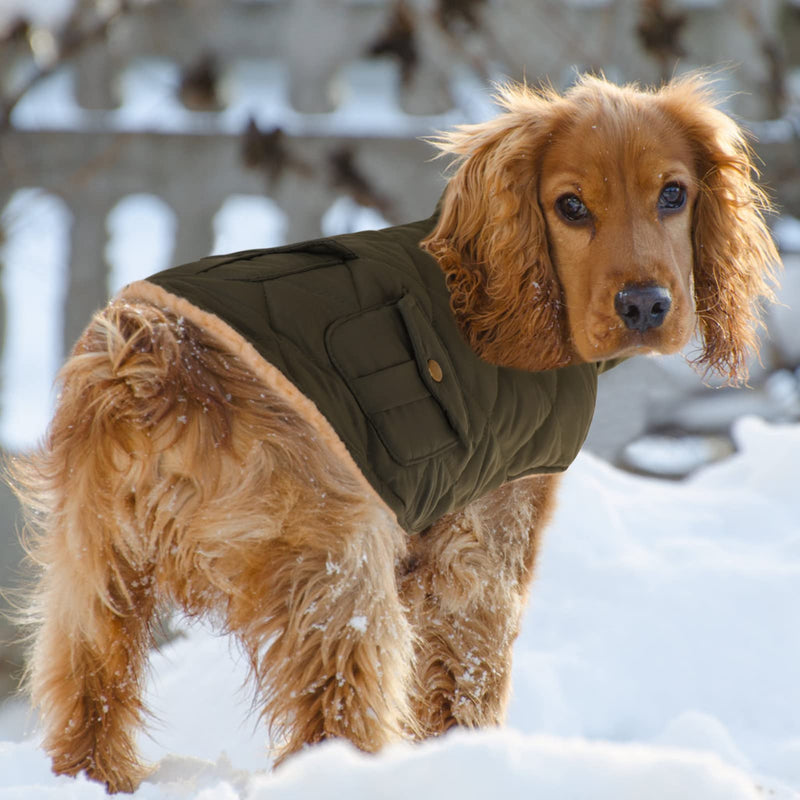 Queenmore Warm Dog Coat, Cold Weather Puffer Dog Coat, Quilting Winter Dog Jacket Ultra Thick Plush Lining with Storage Pockets (Green, Small) Green - BeesActive Australia