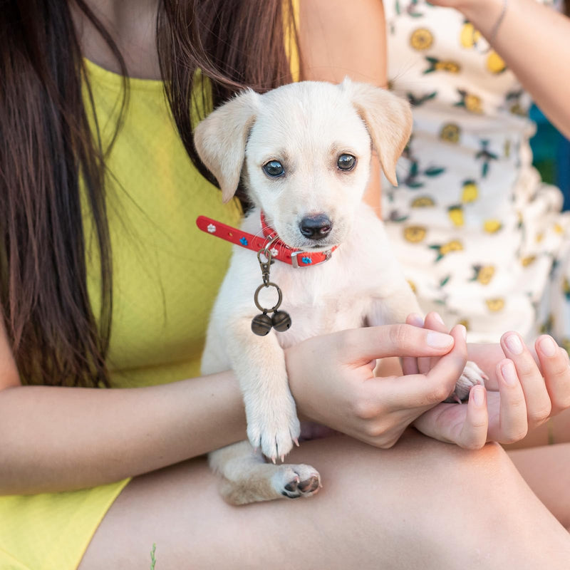 Loud cat dog bells pet tracker bells for crafts cat bells dog bells cat and dog bells for collar training with rotating carabiner clasp - BeesActive Australia