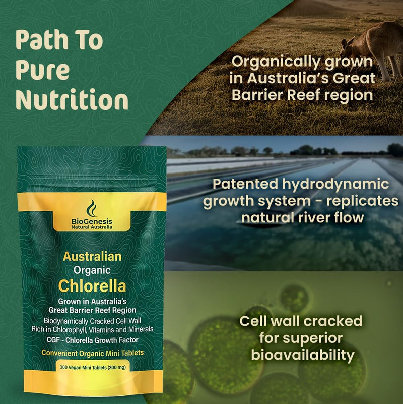 Biogenesis Organic Chlorella Mini Tablets – 300 Count (200mg) | Australian Grown | Rich in Chlorophyll, Vitamins & Minerals | Supports Energy & Immunity | Vegan Mini Tablets 300 Count (2 Ounce, mini tablets)