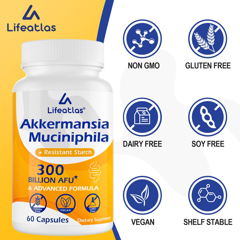 300 Billion AFU, 6-in-1 Akkermansia Probiotics for Women & Men, 60 Count | Akkermansia Muciniphila, Daily Akkermansia Probiotic for Digestive, Gut, Immunity, Gut, Lining Function & Intestinal Walls 60 Count (Pack of 1)