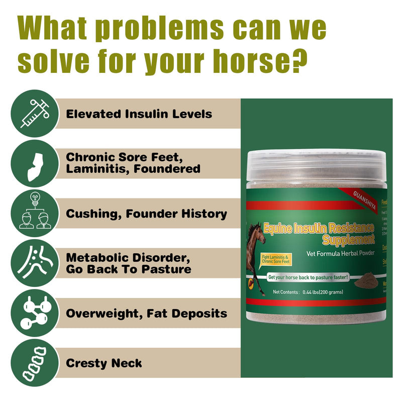 Insulin Resistance Supplement for Horses, Herbal Formulated for High Insulin, Chronic Laminitis, Cushing's Syndrome, Sore Feet, Blood Sugar Reduction & Metabolic Enhancement, 0.44 lbs - BeesActive Australia