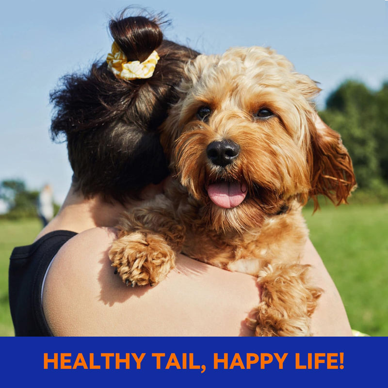 Flea & Tick Collar for Dogs, Vet-Recommended Flea & Tick Treatment & Prevention Collar for Dogs, 1 Count, 15" 15 inches
