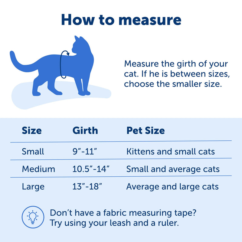 PetSafe Come with Me Kitty Harness and Bungee Cat Leash, Medium, Purple/Light Purple Medium (Pack of 1) - BeesActive Australia