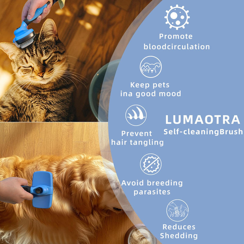 Self Cleaning Slicker Brush for Dogs & Cats，Dog brush for shedding，Cat grooming supplies，Dog brush for long haired dogs，Short-haired dog brush,Dog hair brush,Pet brush - BeesActive Australia