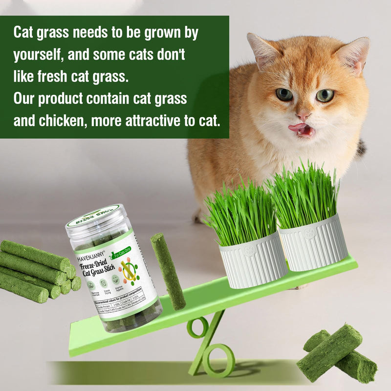 HavenJanny Cat Grass Teething Stick for Cat, Cat Grass Stick Canned for Indoor Cats, Cat Grass Treats Hairball Relief and Teeth Cleaning(1.76oz) 1.76oz - BeesActive Australia