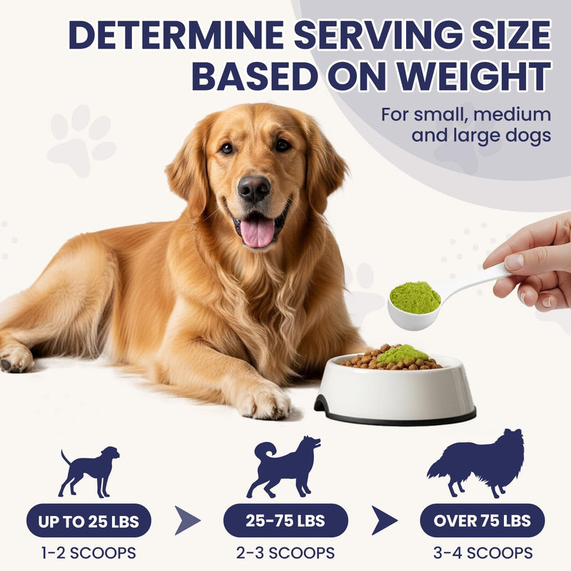 Dog Dental Cleaning Immunity Powder Dog Dental Cleaning Powder with Probiotics to Lighten Bad Breath and Control Plaque Tartar Supports Dogs Dental Care and Immune Health 4.23 OZ 4.23 Ounce