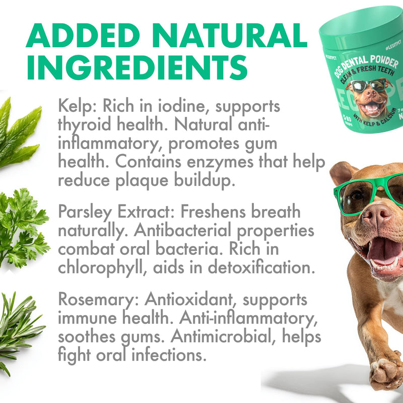 Dog Dental Powder for Teeth Cleaning Plaque Off & Tartar Control Fresh Breath Treatment with Kelp & Calcium Reduce Canine Bad Breath Natural Ingredients All Breeds & Ages 80 Scoops