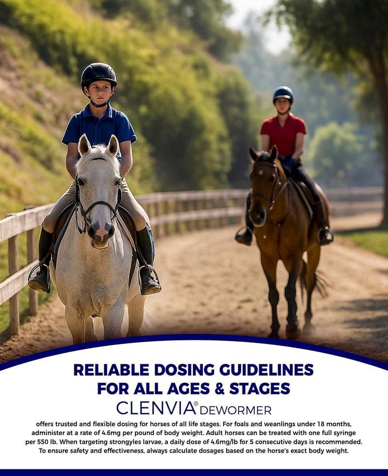 Horse Paste 10% – 1 Pack – 25g Syringes – Oral Deworming Paste for Horses of All Ages – Easy-to-Administer Equine Care