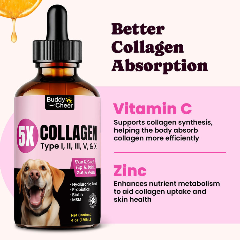 Premium Collagen for Dogs & Cats – 5 Types of Grass-Fed Collagen (I, II, III, V & X), Fast Allergy & Itch Relief Dog Colágeno with MSM, Biotin & Hyaluronic Acid – Supports Healthy Skin & Joints –120ml Bacon