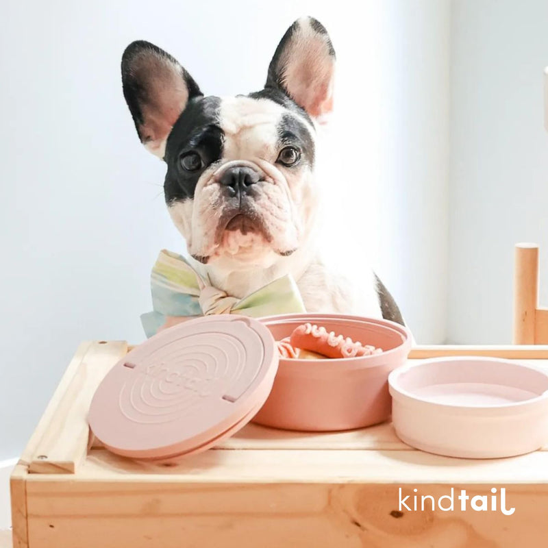 KindTail Bowls, Travel Dog Bowls, Portable Pet Bowls, Microwave and Dishwasher-Safe Dog Bowls with Lid and Handle, Inner Bowl with 10oz Capacity and Outer Bowl with 20oz Capacity… (Small, Rose Pink) Small - BeesActive Australia