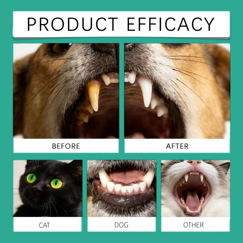 Do/g Teeth Cleaning Spr/ay,Oral Cleaning Spray for Dog and Cat,Fresh Breath Spray for Pet,No Brush Care,Easy Daily Use Dog Breath Freshener,Quick and Effective Clean Teeth,Long-Lasting Dog Fresh white