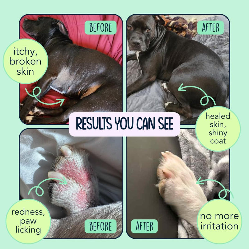 Dog Allergy Relief Chews for Itchy Skin - Stop Paw Licking, Itchy Ears, Support Seasonal Allergy - with Probiotics and Salmon Oil - 120 Count - Bacon Flavor