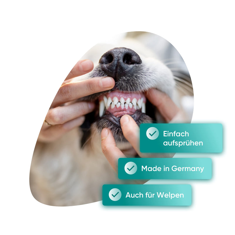 Dental Complex Teeth - Dental and Mouth Spray for Pleasant Fresh Breath, Supports Teeth and Gums, with Natural Ingredients such as Mint, Eucalyptus and Sage, 100 m
