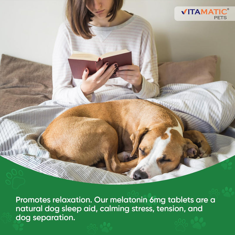 Vitamatic Melatonin for Dogs - 6 mg - 120 Beef Flavored Chewable Tablets ((Pack of 2)) (Pack of 2)