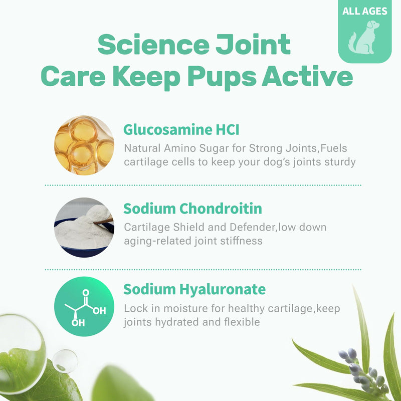 Dog Hip and Joint Supplement, Dog Soft Chews Treats with Glucosamine Chondroitin Omega 3 Collagen Supports Dogs Joint Skin and Coat Immune Health, Pet Vitamins Supplements for Small Medium Dog Breeds
