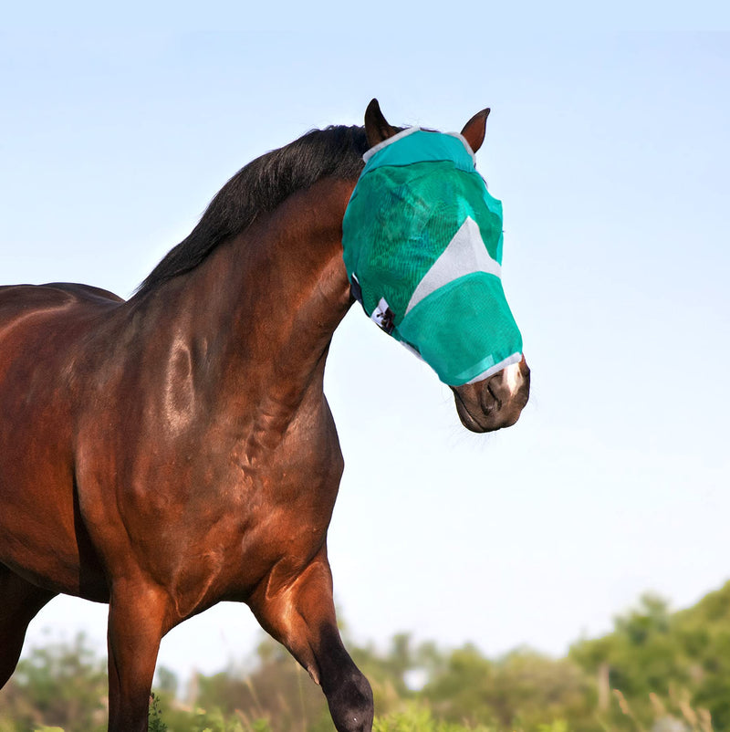 Downtown Pet Supply - Horse Fly Mask with Nose - Horse Mesh Face Mask or Horse Face Cover with Velcro Straps and Fleece Lined Ear Holes - M - BeesActive Australia