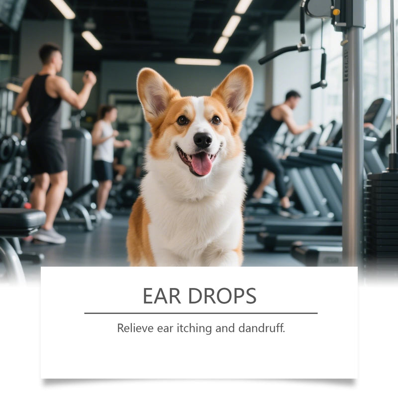 Pet Ear Cleaner Solution for Dogs & Cats, Gentle Ear Drops to Reduce Wax & Prevent Discomfort, Healthy Ear Cleaning Treatment for Regular Care