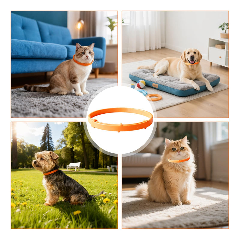 6Pcs Calming Collar for Dogs, Orange Dog Anxiety Relief Collar Adjustable, Dog Calming Collar for Firework Bonfire Night Stress, Anti Barking Collars for Small Medium Large Dogs (Orange)