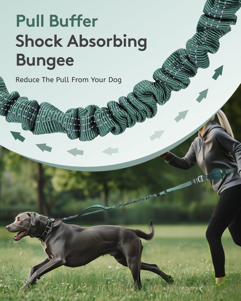 MIDOG Multifunctional Dog Leash Hands Free for Large Dogs - Adjustable Waist Leash with Zipper Pounch& Bungee Cord for Jogging/Running/Walking(4-7FT,Green) 4Ft-7Ft Green - BeesActive Australia