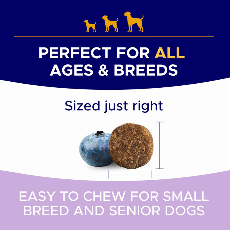 Probiotics for Dogs + Digestive Enzymes - Omega & Pumpkin - Gut Health & Immunity Support - Relieves Diarrhea, Gas, Constipation, Improve Digestion - Made in USA - 100 Soft Chews - Jerky - BeesActive Australia