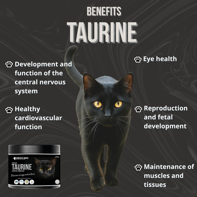 Cat Taurine Powder with Fish Protein 300g – Heart & Vision Support – Immune System & Energy Formula – Highly Palatable taurine for cats Supplement – pure taurine powder for cats