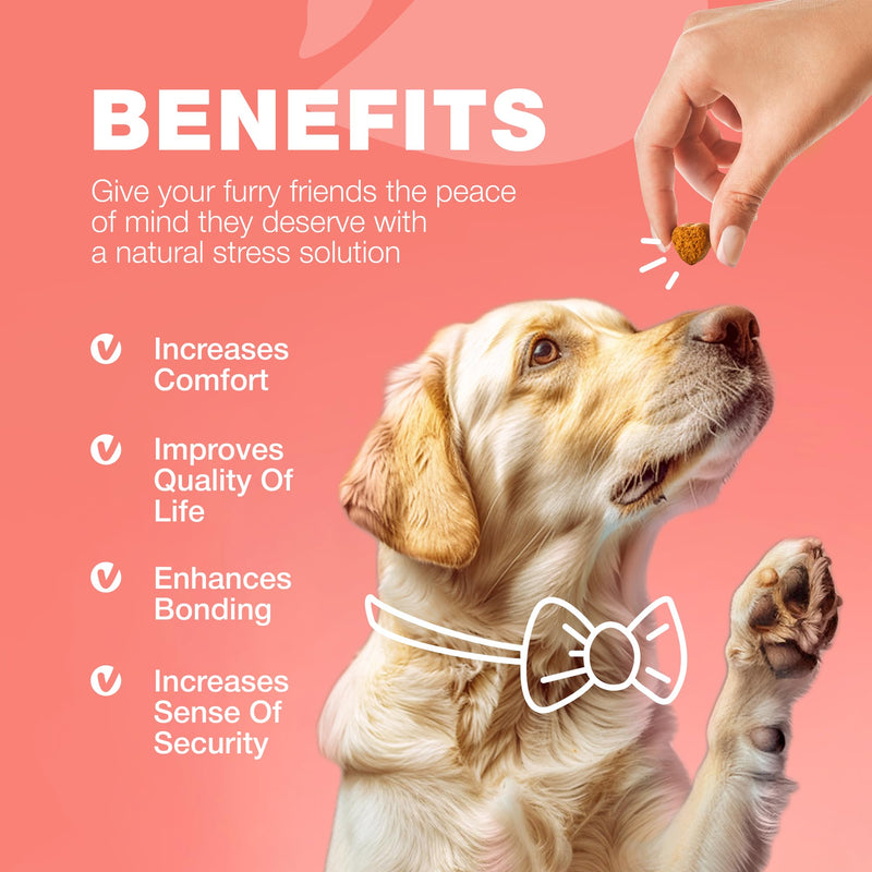 Dog Flea and Tick Treatment Chews - Flea and Tick Prevention for Dogs - Flea & Tick Chewables - Natural Dog Flea & Tick Control Soft Treats - Flea Chewables for Dogs - Immune Support Supplement Duck 180 count - BeesActive Australia