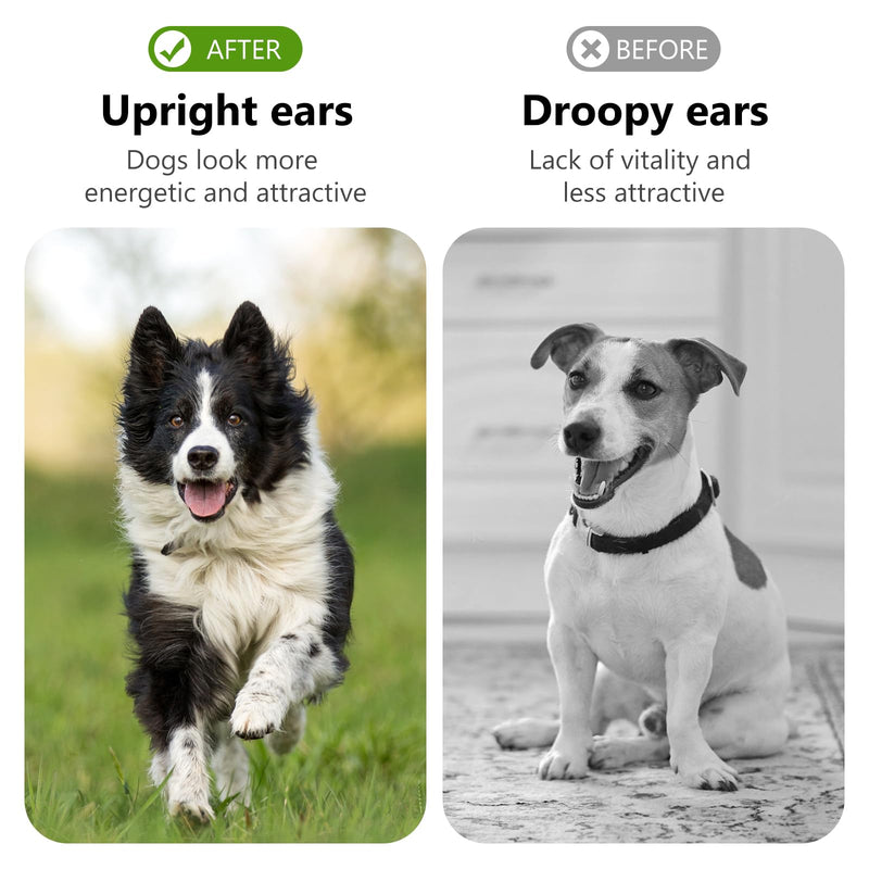 POPETPOP 1 Pair Dog Ear Erector, Dog Ear Stand Sticker Up Support Tool, Dog Ear Fixed Correction Vertical Holder for Doberman Corgi Chihuahua Puppy - PawsPlanet Australia