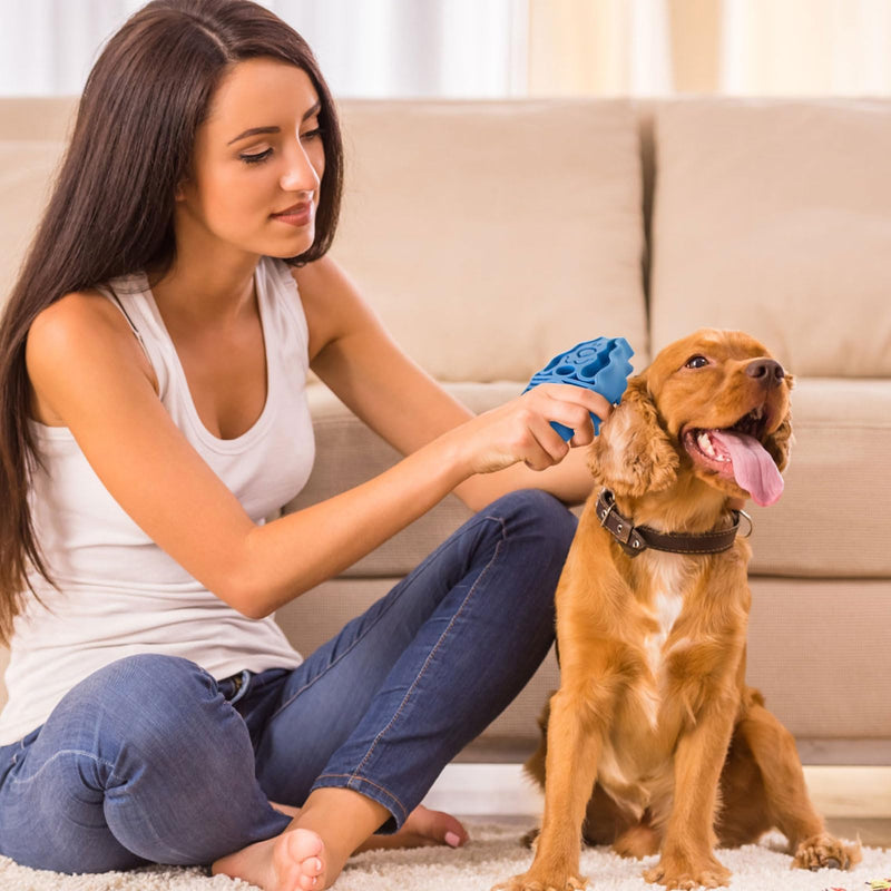 Kong Zoom Groom Dog Brush Alriedy - Groomify Pet Care Brush, Groomy Brush Dog, Ezzy Groom Dog, Massage and Cleaning Brush for Long-Haired and Short-Haired Puppies - BeesActive Australia