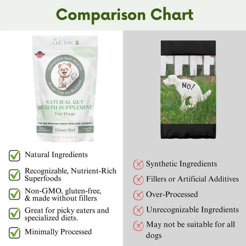 Dog Probiotic Powder – Gut Health Probiotics for Dogs with Digestive Enzymes, Prebiotics & Pumpkin – Supports Firm Stool, Diarrhea Relief, Immune Boost – Natural Dog Gut Health Powder