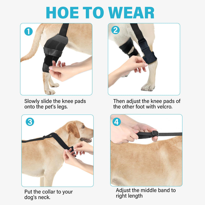 Dog Knee Leg Brace - Dog Knee Brace for Torn ACL Hind Leg, Dog Leg Braces for Back Leg & Front Leg, ACL Tear Leg Support, Comfortable and Adjustable, Size M Black(Dog Leg Brace) - BeesActive Australia