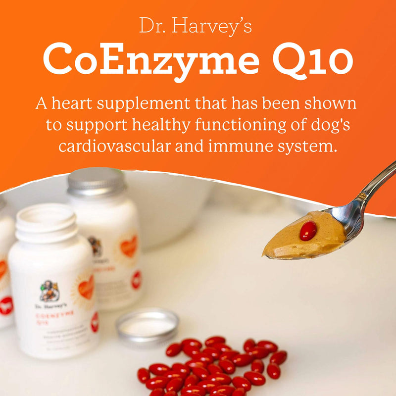 Dr. Harvey's Coenzyme Q10 - Heart & Cardiovascular Support Supplements for Dogs, 60 Capsules - BeesActive Australia