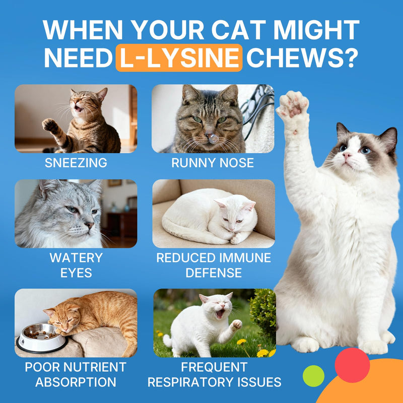 WEALLIN Cat Wellness Bundle, Taurine Multivitamin Treats + L-Lysine Chews for Cats, 2 x 500 Crunchy Krill-Core Chews for Heart, Vision, Immune, Digestive & Respiratory Support