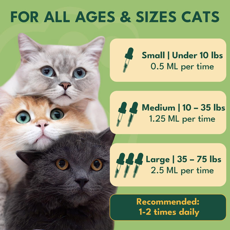 YOTANGO Natural Antibiotics for Cats, Cat Antibiotics for UTI & Itch Support, Immune, Digestive, Allergy, Skin & Coat Support for Cats and Kittens, for All Ages & Breeds (Chicken Flavor-60ml 2 Pack) 2 PCS