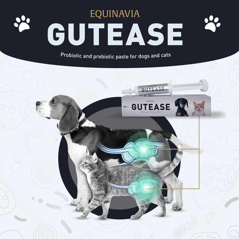 Equinavia GutEase Digestive Support Paste for Dogs & Cats – with Probiotics, Prebiotics, Glutamine, and Pectin – Easy Oral Supplement in 15ml or 30ml Syringe - 1 oz (30 ml) - 1 oz 1 oz (30 ml)