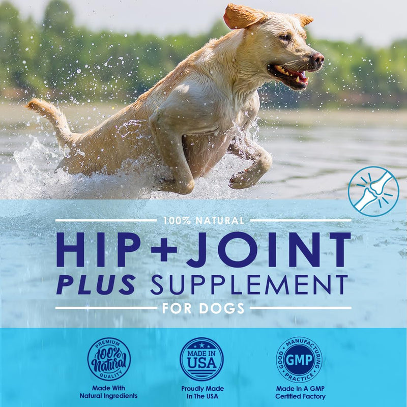 Advanced Glucosamine Powder for Dogs for Arthritis Pain Relief & Hip Dysplasia, Supports Joint Health & Reduces Inflammation with Glucosamine, Chondroitin, MSM & Coral Calcium, 6oz Powder - BeesActive Australia