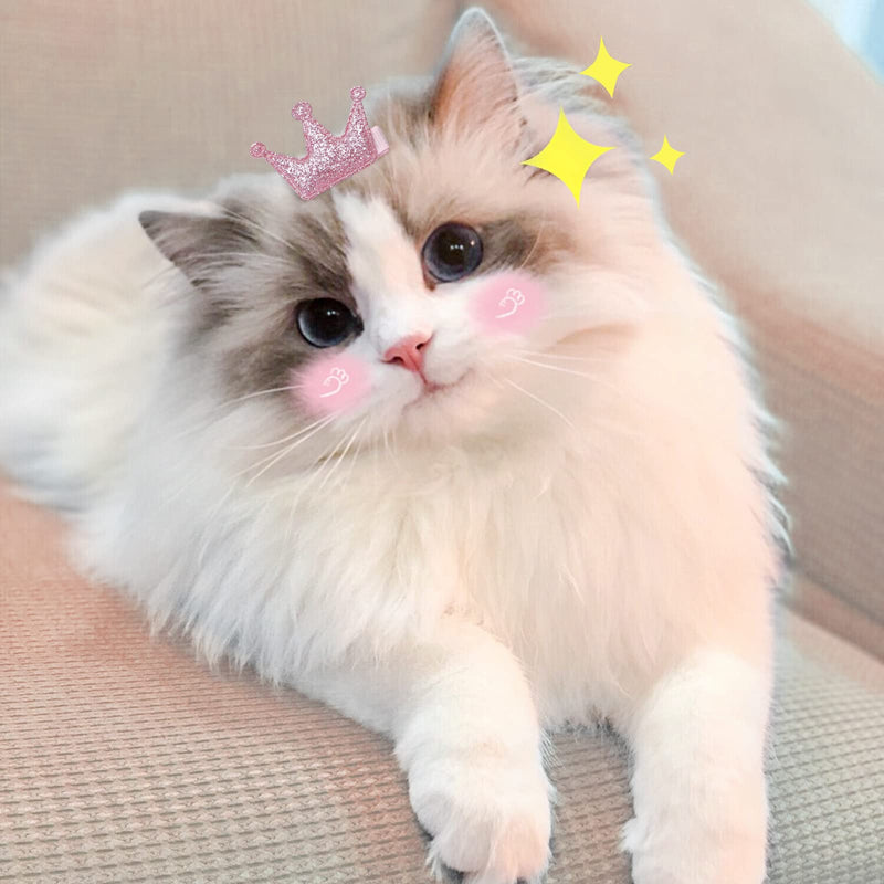 WWW Small Dog Hair Clips 5 Pcs Cat Dog Hair Bows Girls Puppies Hair Barrettes Cute Bow Flower Crown Hairpin Head Flower Hair Pins Cat Puppy Party Birthday Grooming Hair Accessories,Pink Pink - BeesActive Australia