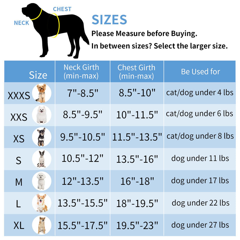 AIITLE Step in Dog Harness and Leash Set - Summer No Pull Escape Proof Vest Harnesses with Soft Mesh and Reflective Bands, Adjustable Pet Outdoor Harnesses for Small and Medium Dogs Blue M M(Chest: 16 - 18") Blue-Grey - BeesActive Australia