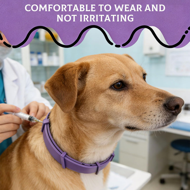 3 PCS Pheromone Dog Calming Collar with Lavender Relaxing Dog/Cat Collar Adjustable Anxiety Relief for Prts Stress, Separation, Noise, Thunderstorms, Fireworks, Travel (Purple) Purple, 3 PCS