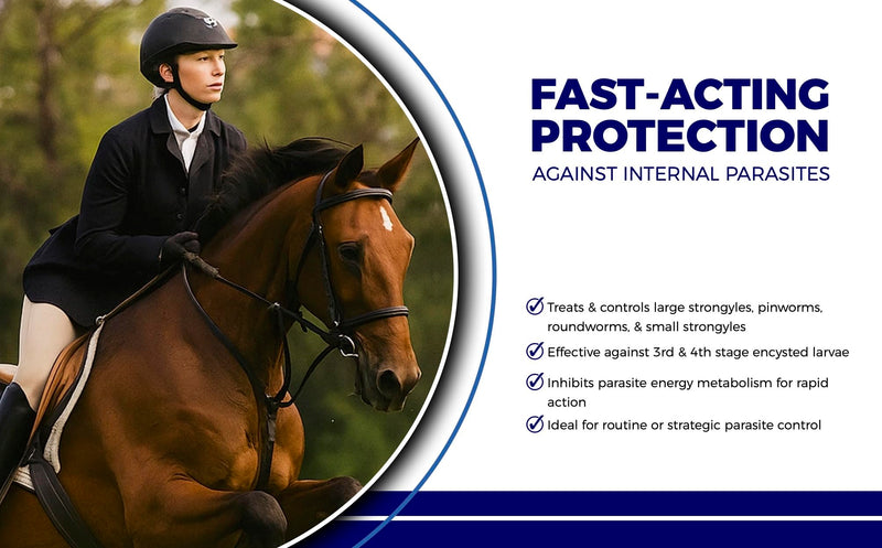 Horse Paste 10% – 4 Pack – 25g Syringes – Oral Deworming Paste for Horses of All Ages – Easy-to-Administer Equine Care PACK OF 4