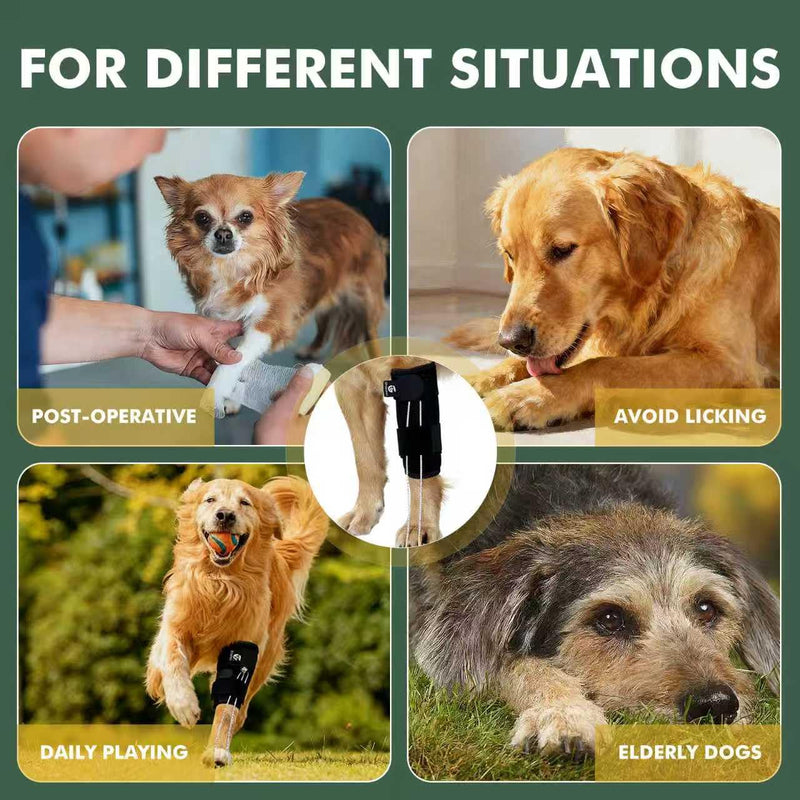 Dog Front Leg Support Brace for Foot Drop, Canine Knuckling Prevention, Toe Dragging Assistance S
