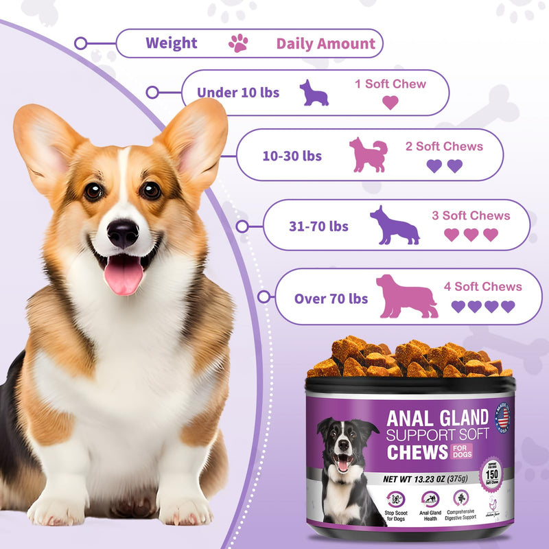 Dog Anal Gland Soft Chews 150 Stop Scoot for Dogs Supports Anal Gland Bowel Function Digestive Health Fiber Pumpkin Supplement for Dogs Pet Diarrhea Bowel Support Probiotics Digestive (Chicken Flavor) Chicken - BeesActive Australia