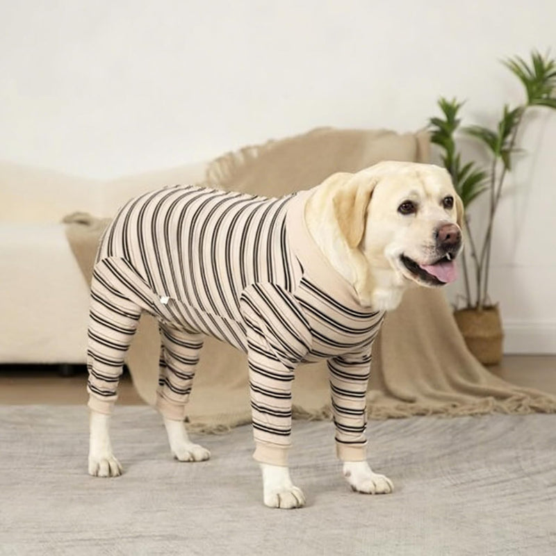 Dog Surgery Recovery Suit with Long Sleeves and Legs, Dog Romper with Zip, Full Body Coverage Pet Castration Suit, Dog Bodysuit After Surgery for Wound Protection (Beige, M) Beige
