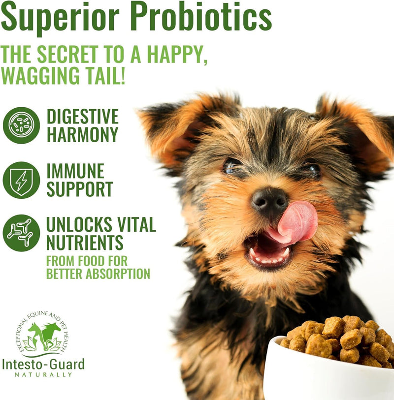 Probiotics Paste for Dogs Prebiotic for Canine, Gut Support, & Immune Boost, All Natural with 1 Billion per ML Includes (MOS)+ Beta Glucans + D-Mannose, No Animal by-Products - 30ML Single Tube 30ML Tube