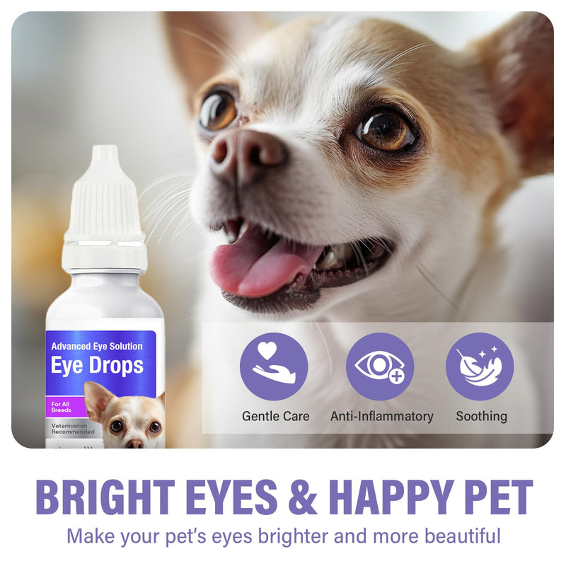 Dog Eye Drops, Premium Eye Drops for Dogs to Flush & Soothe, Advanced Dog Eye Wash for Daily Care & Tear Stain Prevention, Effective Dog Eye Infection Treatment, 10ml/2 Bottles 1Count(Pack of 1)
