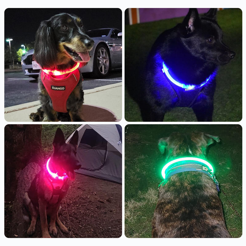 Nepfaivy Luminous Dog Collar USB Rechargeable - Waterproof Dog Collar Luminous with 3 Lighting Modes, Length-Adjustable LED Collar for Small, Medium and Large Dogs (Green) Green - BeesActive Australia