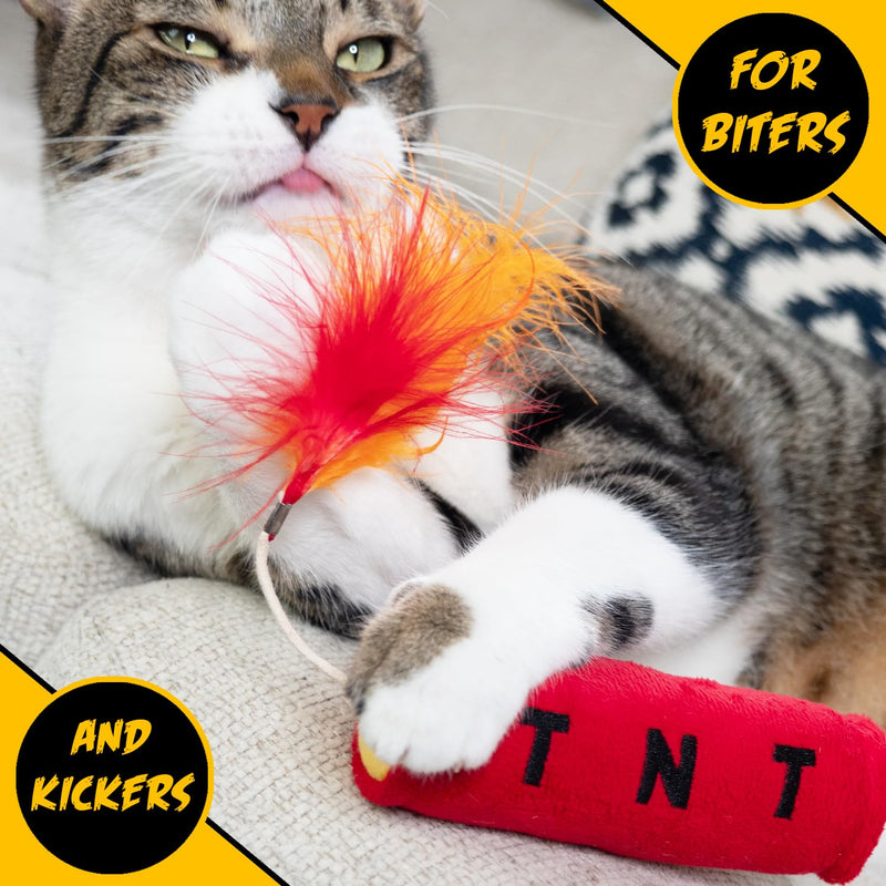Cat Toys TNT, Cat Toys for Indoor Cats, Kitten Toys, Catnip Toys for Cats of All Breeds with Dangle Feathers and Jingle Sound - Kicking, Biting, Chewing 1-Pack - BeesActive Australia