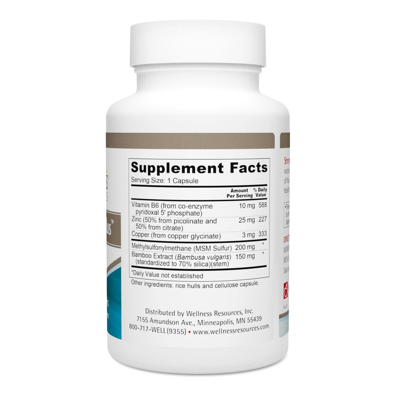 Wellness Resources Strengthener Plus - Zinc Formula for Immune System, Hair, Skin, and Nails. with Bamboo, B6, MSM Sulfur (100 Capsules)