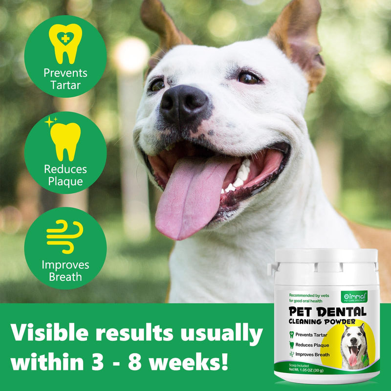 Dog Dental Powder, Teeth Cleaning Powder for Dogs, Dental Care for Dog Teeth Breath Freshener, Plaque & Bad Breath Off Powder Dog, Dog Breath Freshener for Small, Medium, Large Dogs 30g - PawsPlanet Australia