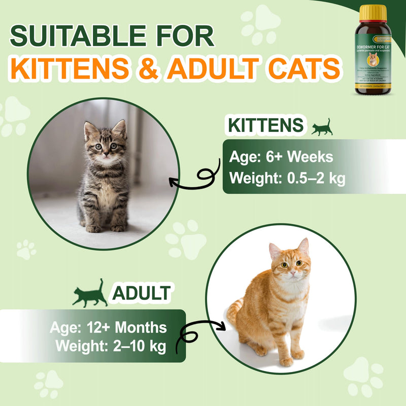 Cat & Kitten Dewormer for All Wormers, Pyrantel Pamoate, Roundworms & Hookworms, Liquid, 100ml